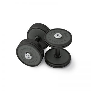 Manubri Palestra Panatta Sport