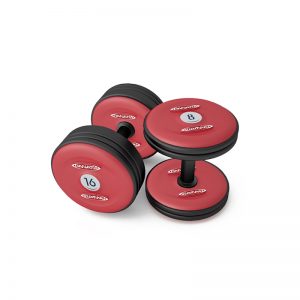 Manubri Palestra Panatta Sport Rossi