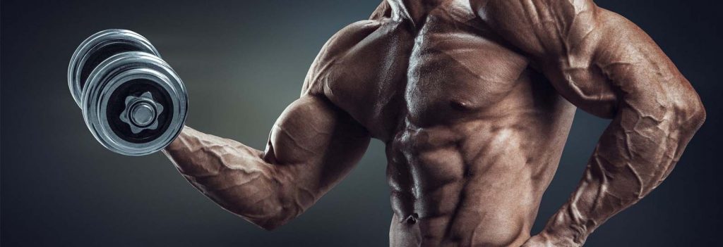 Body Building cagliari integratori